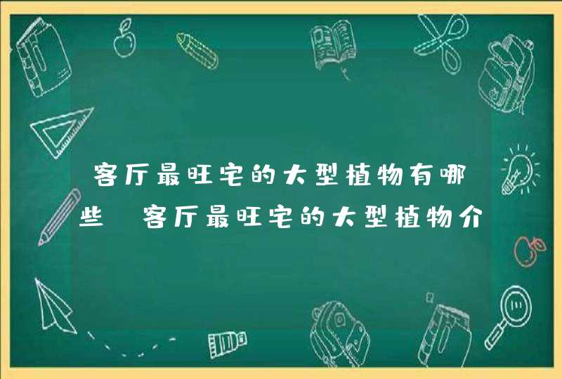 客厅最旺宅的大型植物有哪些_客厅最旺宅的大型植物介绍,第1张