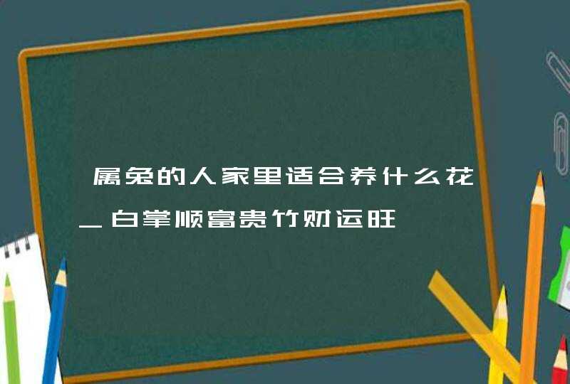 属兔的人家里适合养什么花_白掌顺富贵竹财运旺,第1张