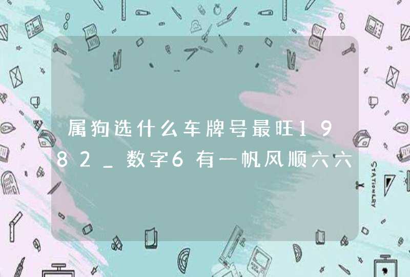 属狗选什么车牌号最旺1982_数字6有一帆风顺六六大吉,第1张