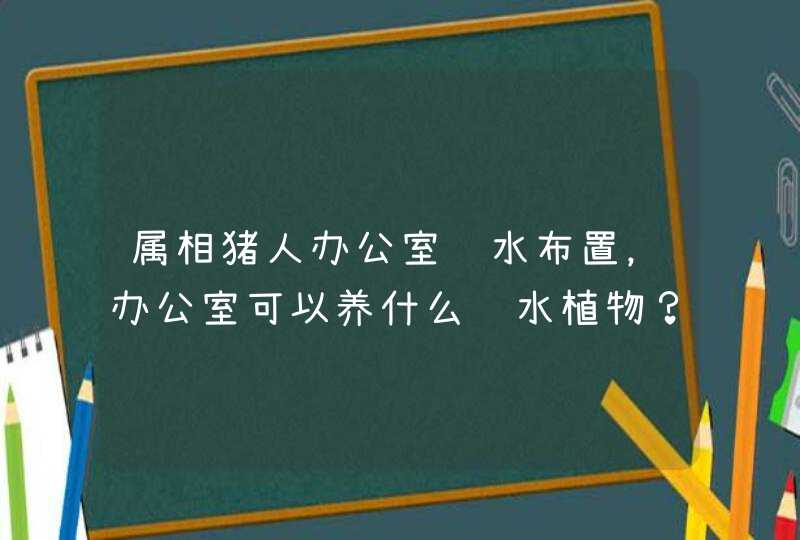 属相猪人办公室风水布置，办公室可以养什么风水植物？_属相猪办公室坐向,第1张