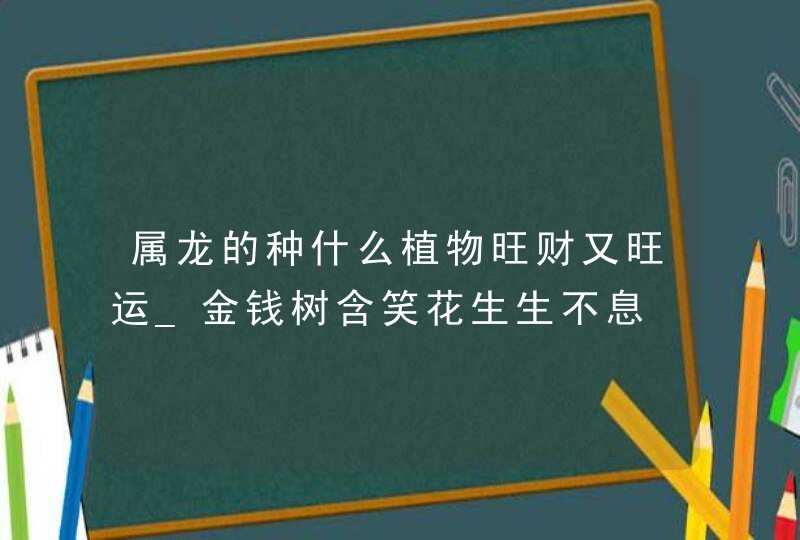 属龙的种什么植物旺财又旺运_金钱树含笑花生生不息,第1张