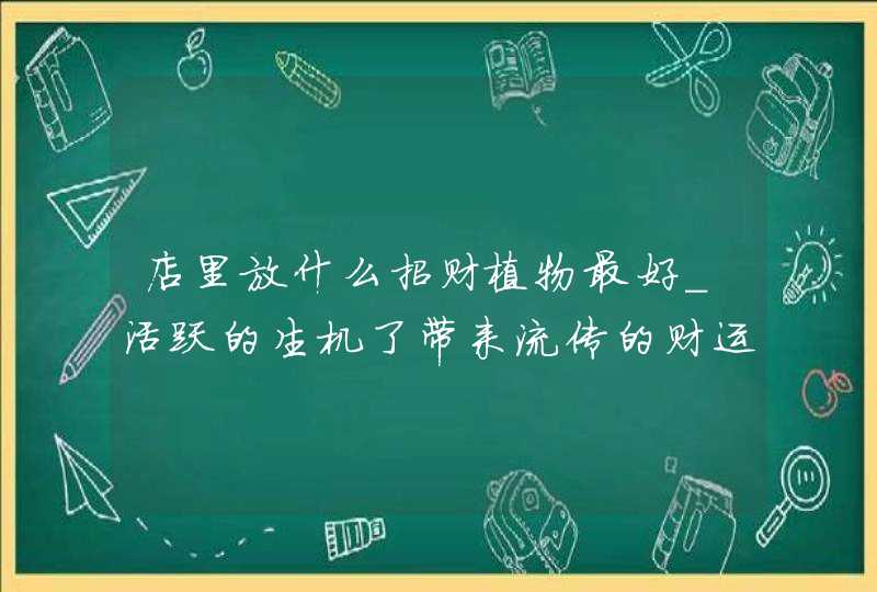 店里放什么招财植物最好_活跃的生机了带来流传的财运,第1张