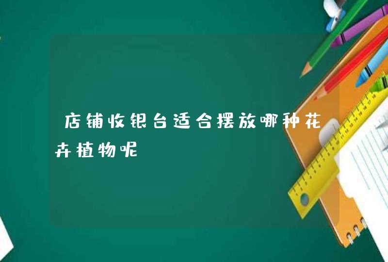 店铺收银台适合摆放哪种花卉植物呢？,第1张