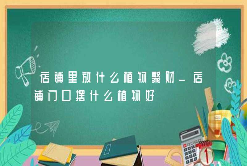 店铺里放什么植物聚财_店铺门口摆什么植物好,第1张