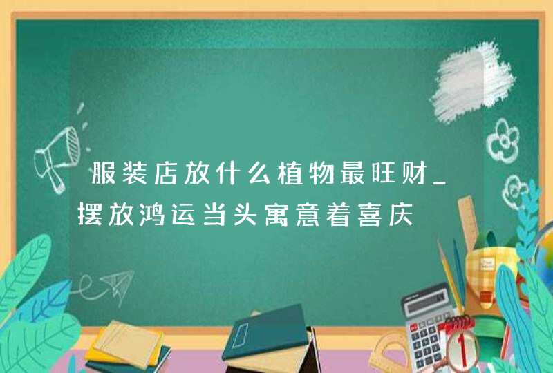 服装店放什么植物最旺财_摆放鸿运当头寓意着喜庆,第1张