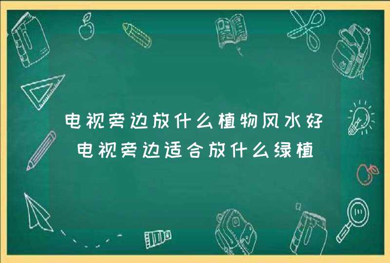 电视旁边放什么植物风水好_电视旁边适合放什么绿植,第1张