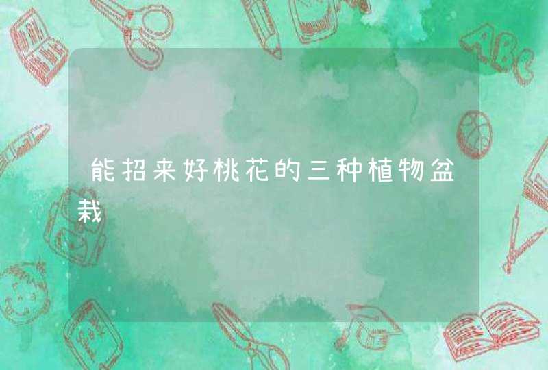 能招来好桃花的三种植物盆栽,第1张