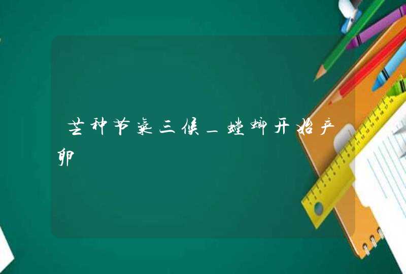 芒种节气三候_螳螂开始产卵,第1张