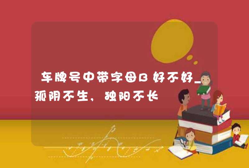 车牌号中带字母B好不好_孤阴不生,独阳不长,第1张