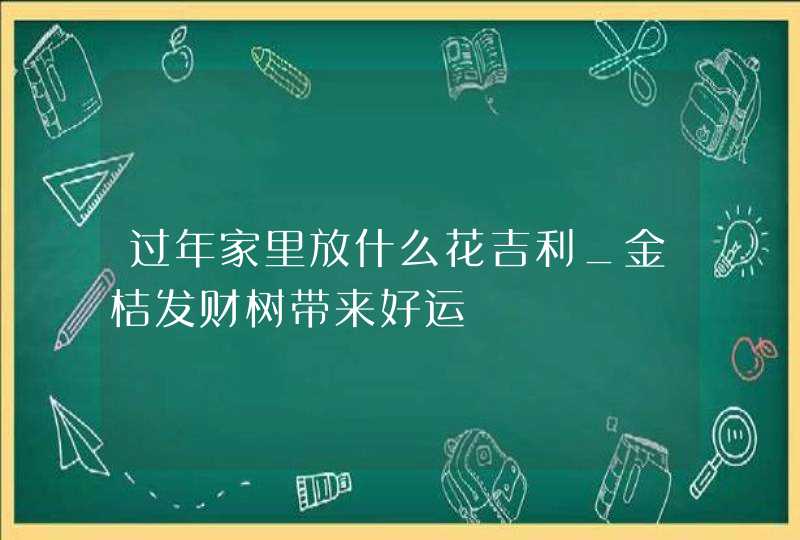 过年家里放什么花吉利_金桔发财树带来好运,第1张