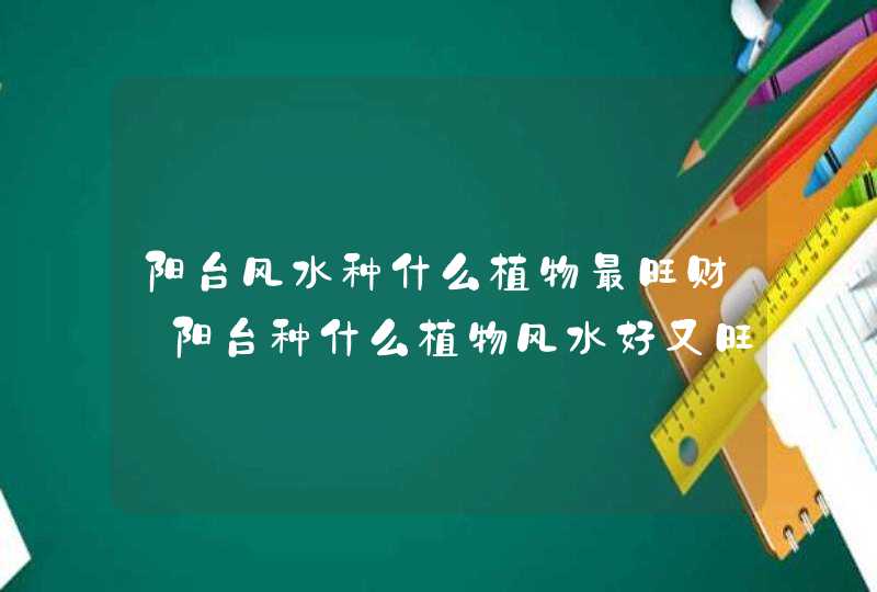 阳台风水种什么植物最旺财_阳台种什么植物风水好又旺财,第1张