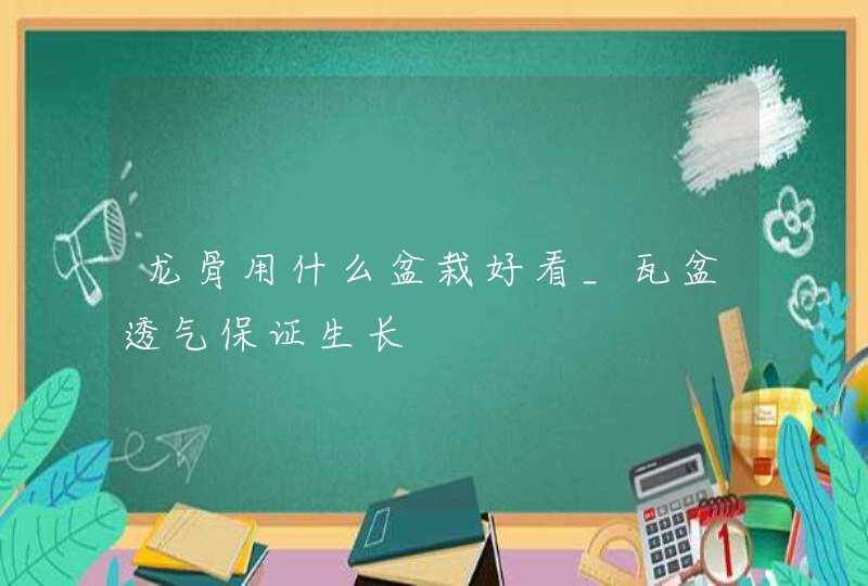 龙骨用什么盆栽好看_瓦盆透气保证生长,第1张
