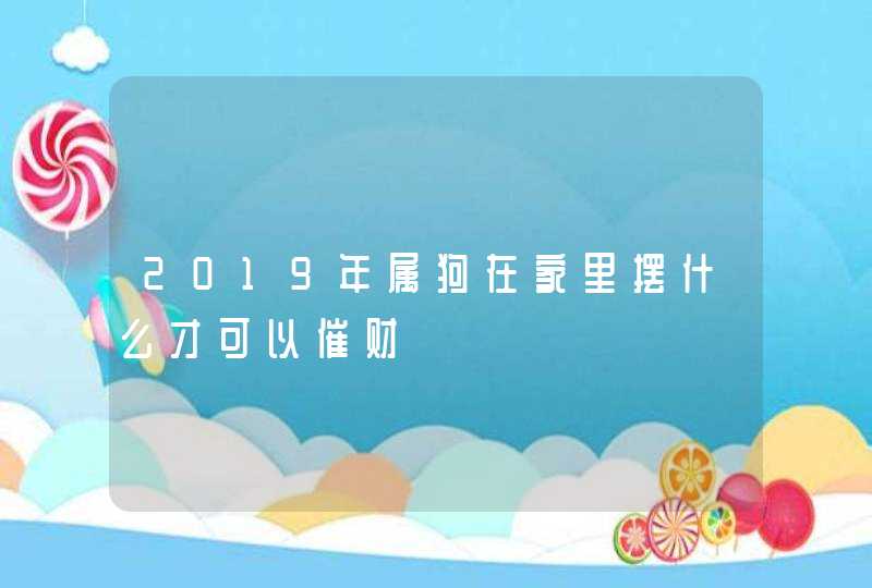 2019年属狗在家里摆什么才可以催财,第1张